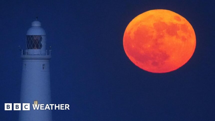 Luna llena mayo: la ‘Luna Flor’ esta semana