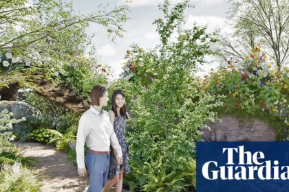 Hierbas: plantas fuera de su lugar