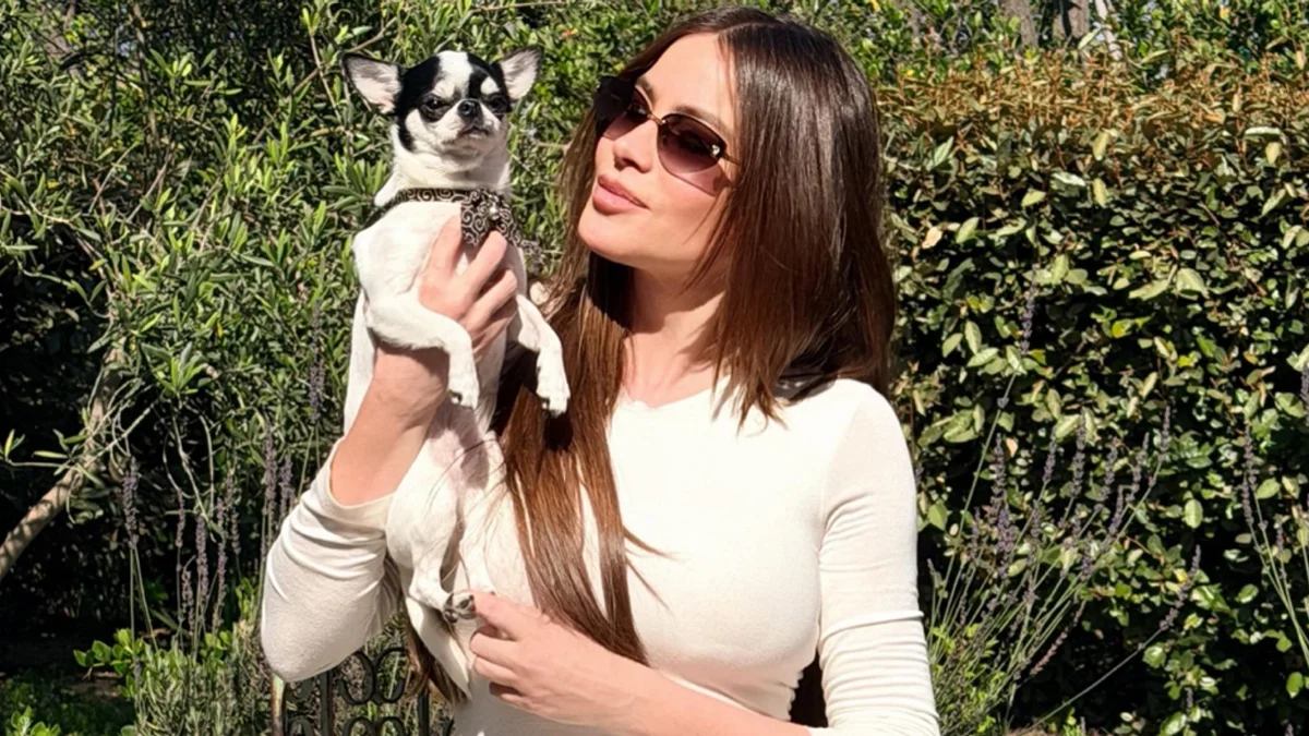 Sofía Vergara cambia escote por vestido blanco ajustado
