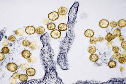 ¿Qué es el hantavirus y cómo se propaga?
