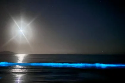 ¿Por qué brillan las playas del norte chileno?