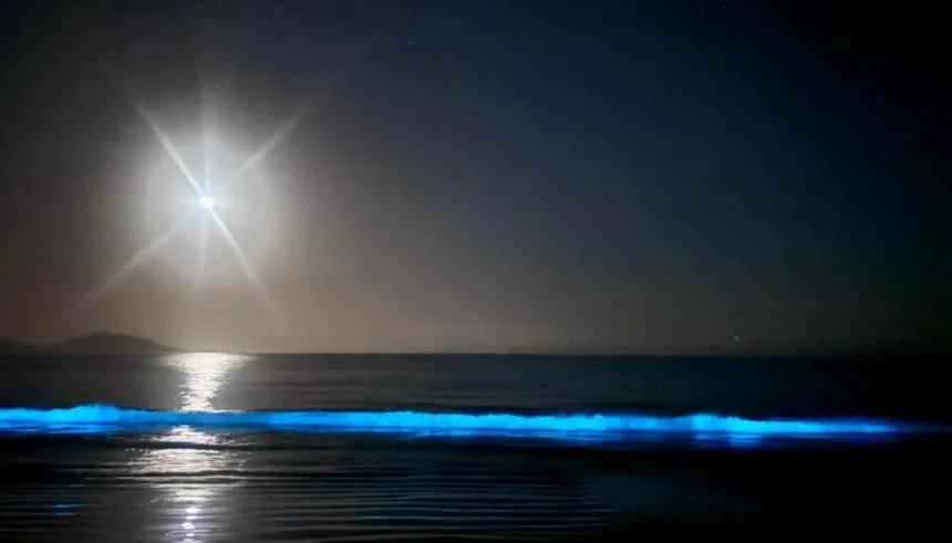 ¿Por qué brillan las playas del norte chileno?
