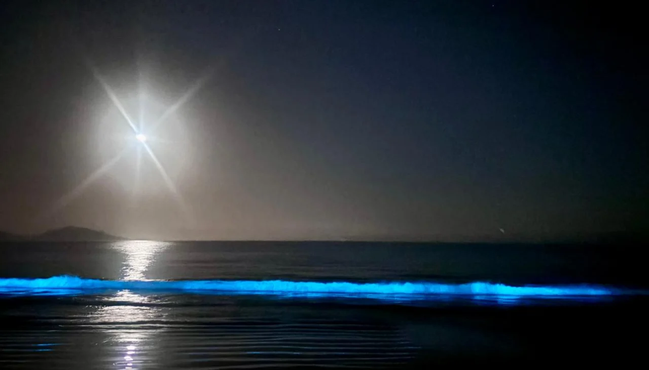 ¿Por qué brillan las playas del norte chileno?