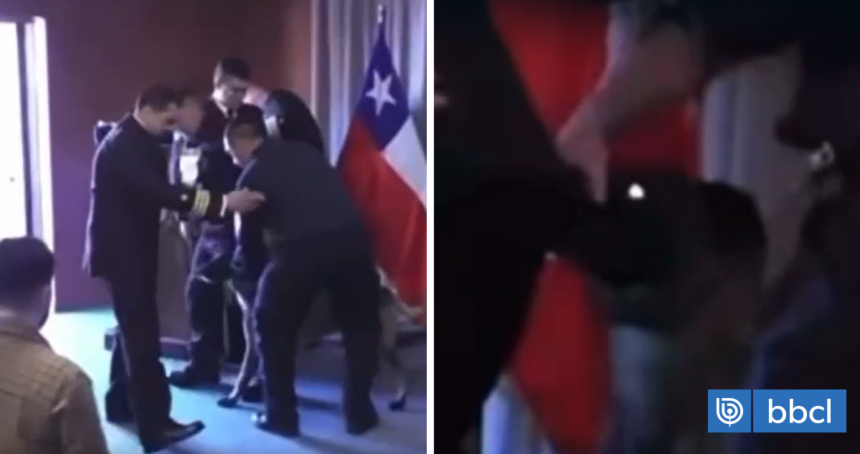 Perro anti-drogas golpea a vicealmirante