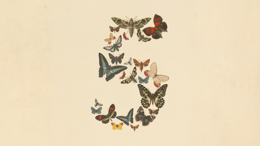 Fábula 5, Mito 5, Anthropic
