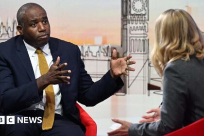 Lammy a Vance: comentarios sobre Nowak “erróneos”