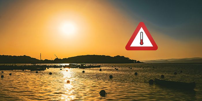 Ola de calor en el Mediterraneo: Espana rozaria los 50 grados