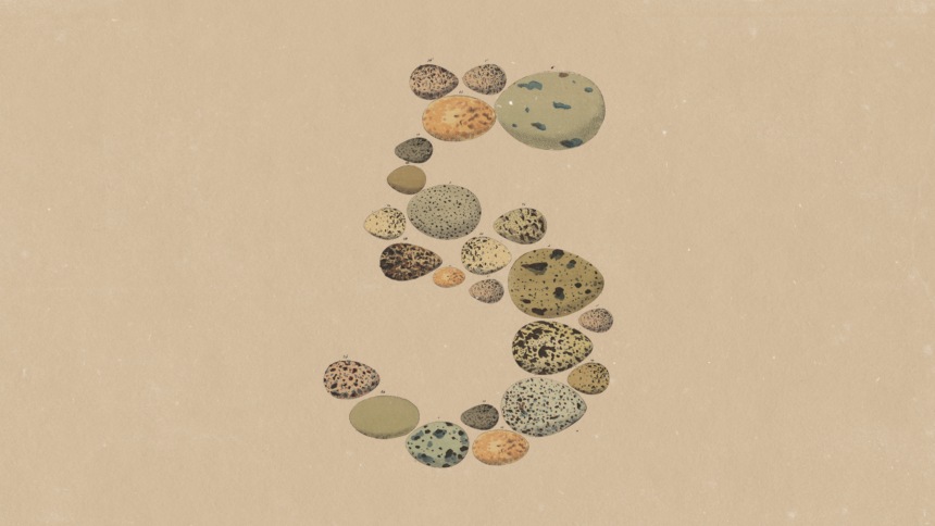 Presentamos Claude 5 Opus de Anthropic