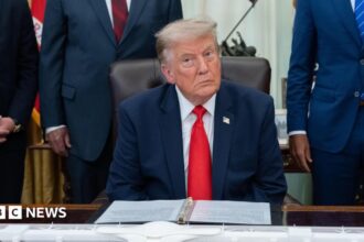 Trump evalúa restringir la IA tras ataques a OpenAI
