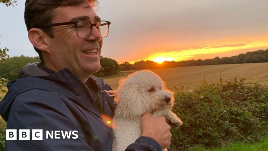 Axel, el perro de Burnham, no se llevaba bien con el gato Larry