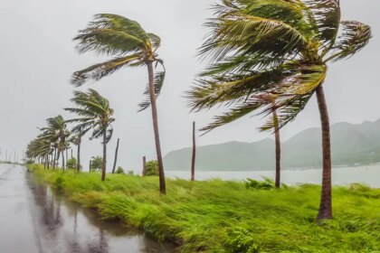 La depresion tropical dos se convertira en tormenta Bertha