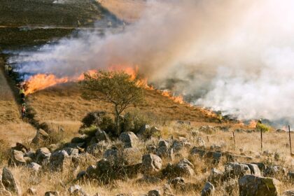 El fenomeno El Nino sera devastador este otono