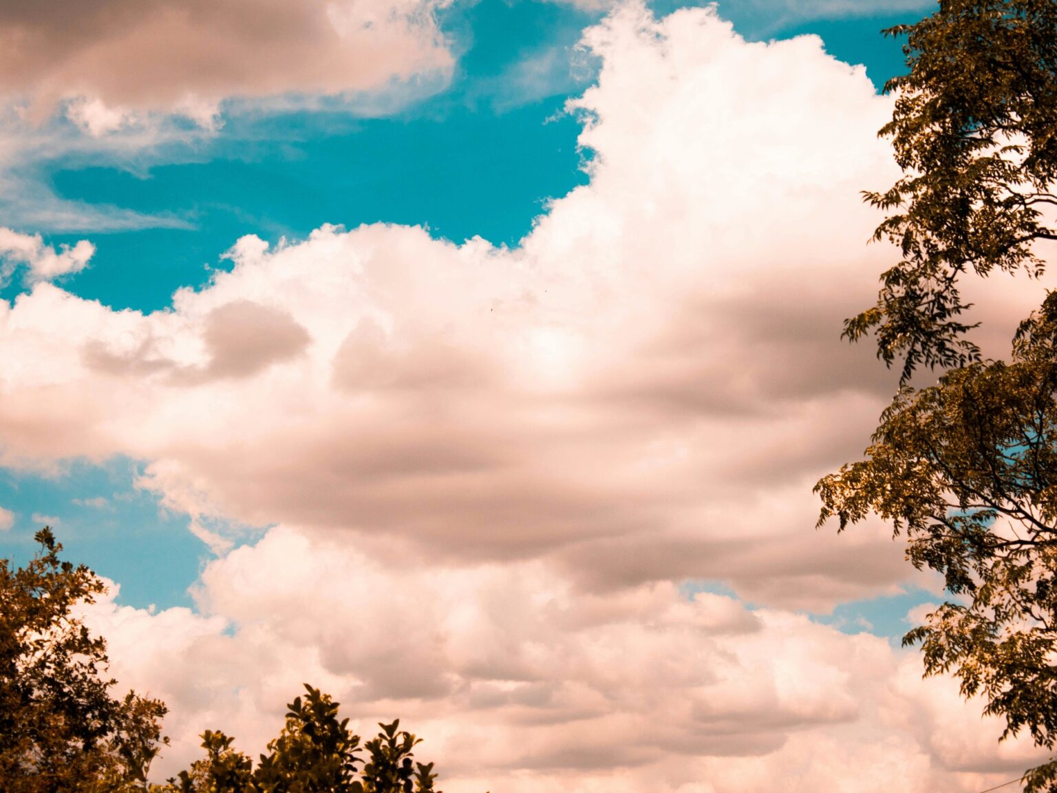 Pronostico del tiempo para Sierra de las Quijadas este 21 de julio