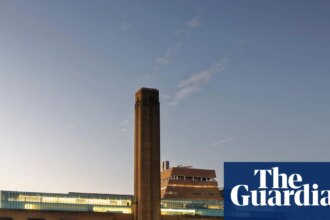 Niño francés cae en Tate, sonríe al salir del hospital