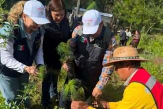 Campaña Reforestación Nacional 2026: Interior convoca a restaurar México.