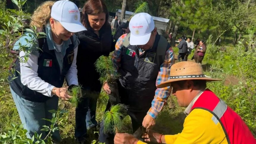 Campaña Reforestación Nacional 2026: Interior convoca a restaurar México.