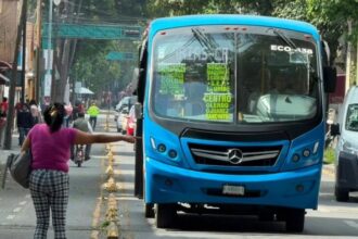 La Laguna: seguridad y transporte mejorados
