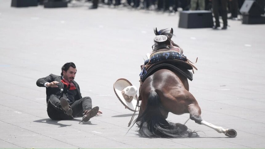 Caballo cae, suspende evento militar