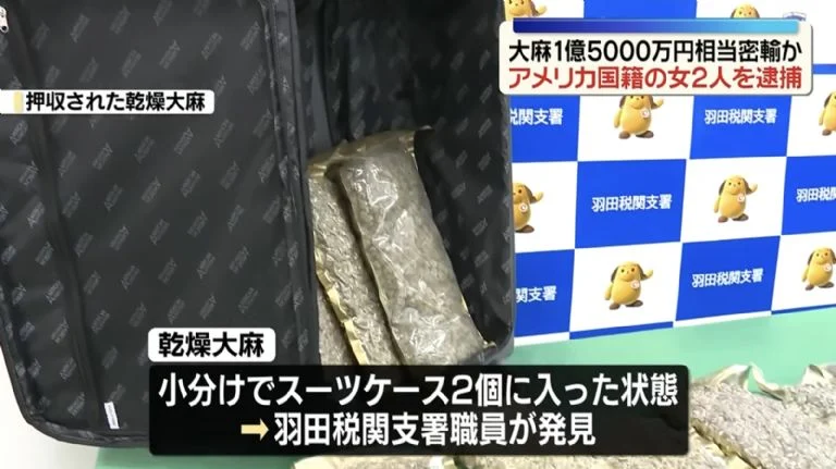 Viaje gratis a Japón con droga: atada.